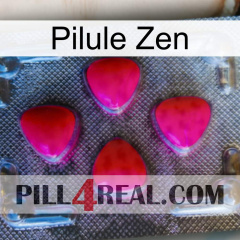 Zen Pill 13